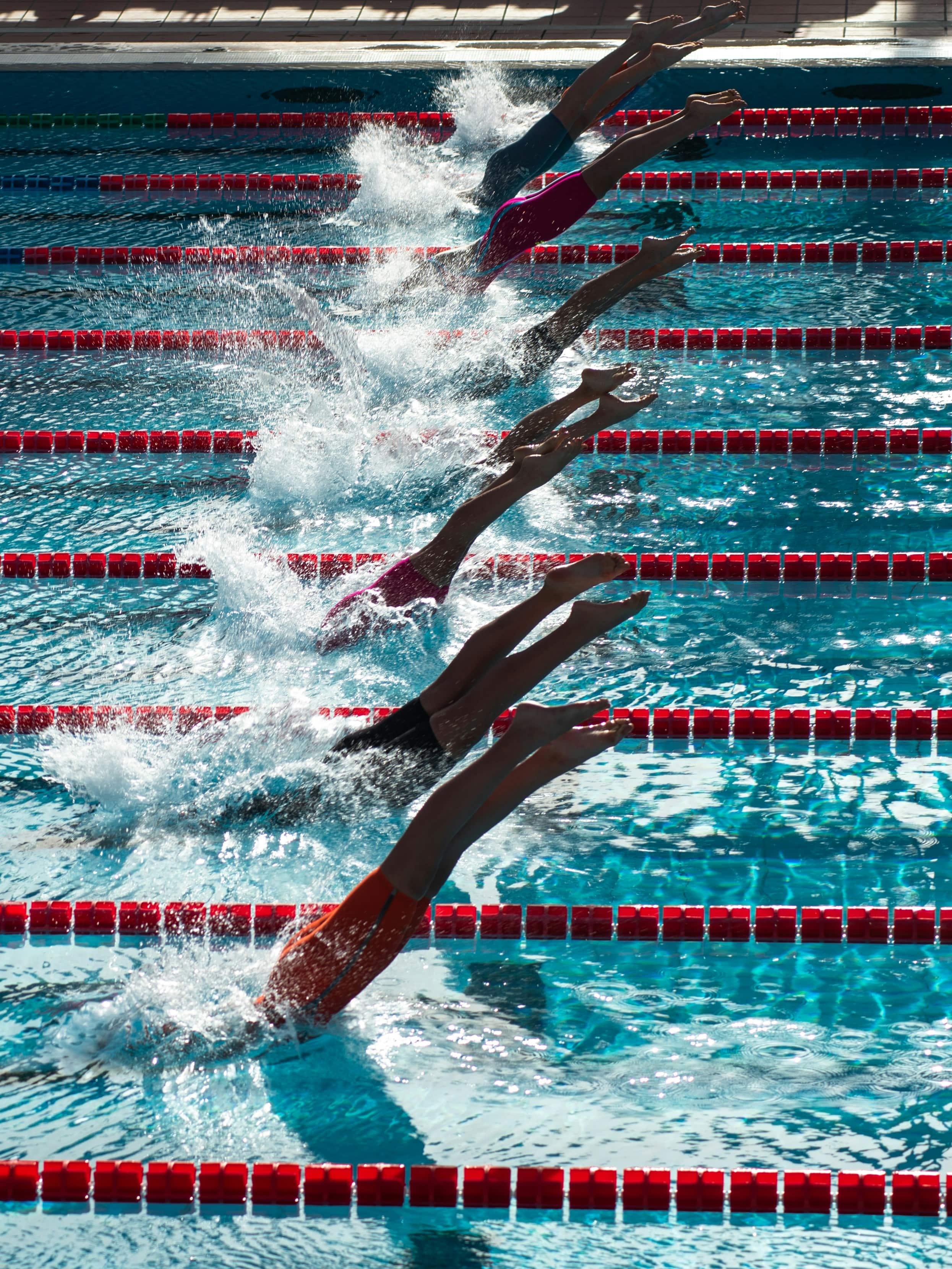 Swimming dive into the water