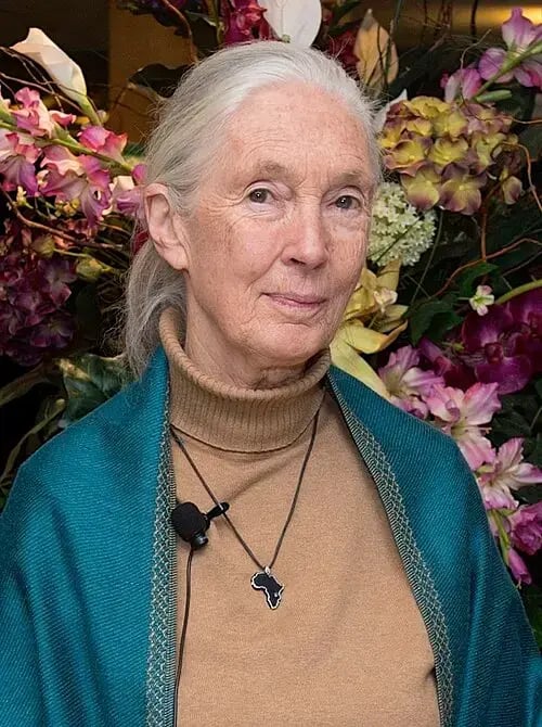 Jane Goodall Jane Goodall