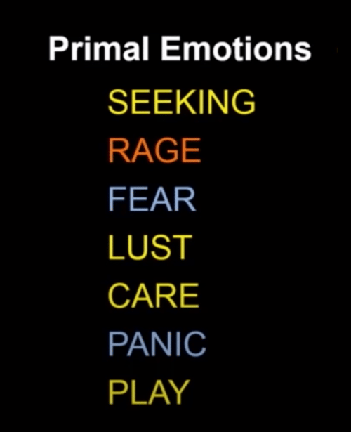 Pankepp-7-primal-emotions-alone-600x739