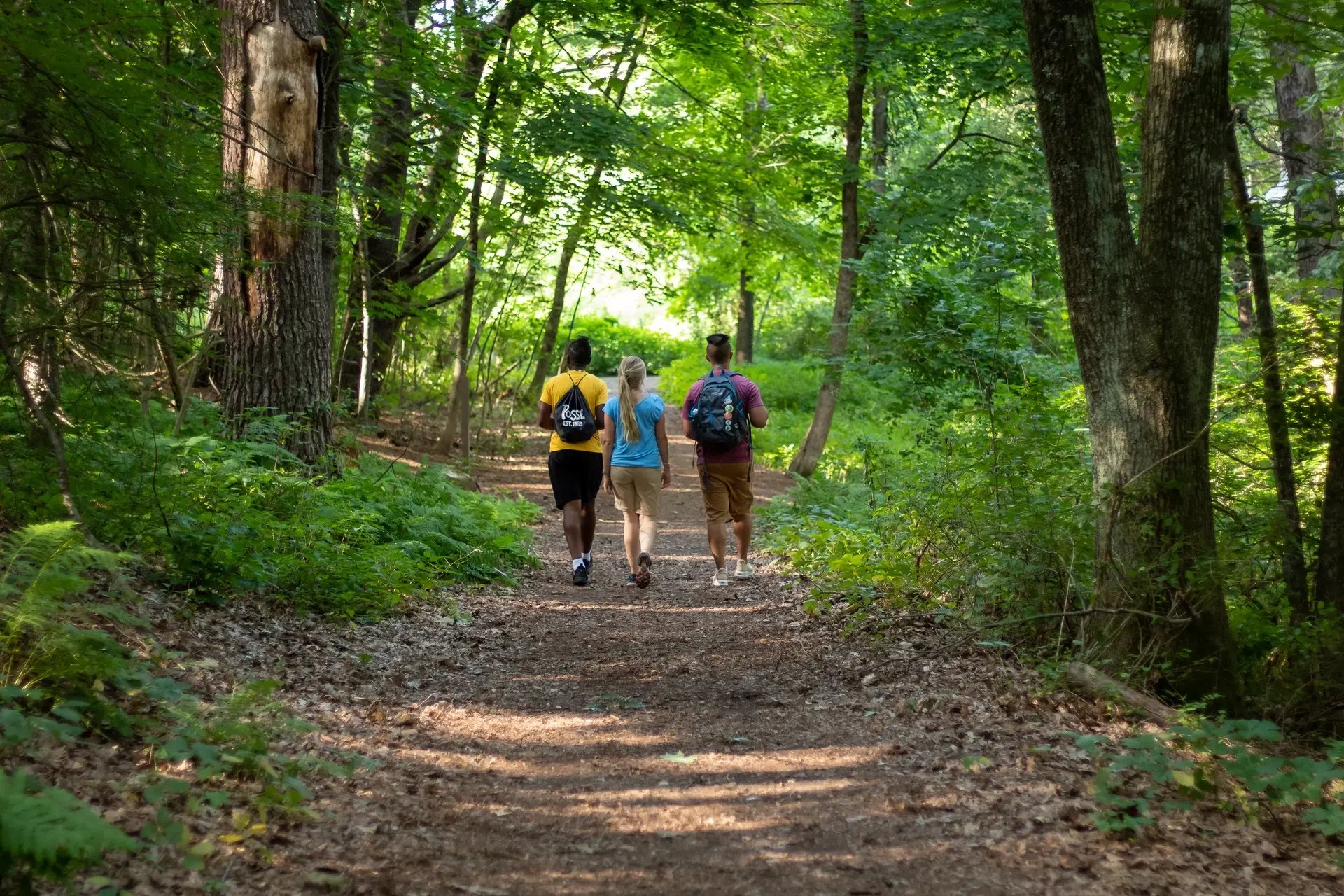 hiking