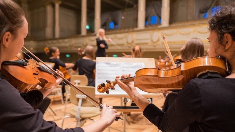 violin